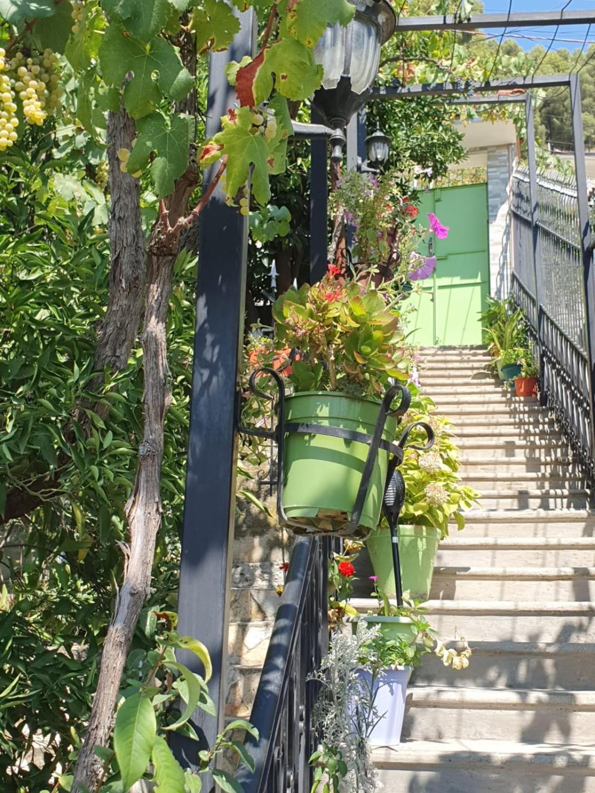Sara Guesthouse ベラト エクステリア 写真