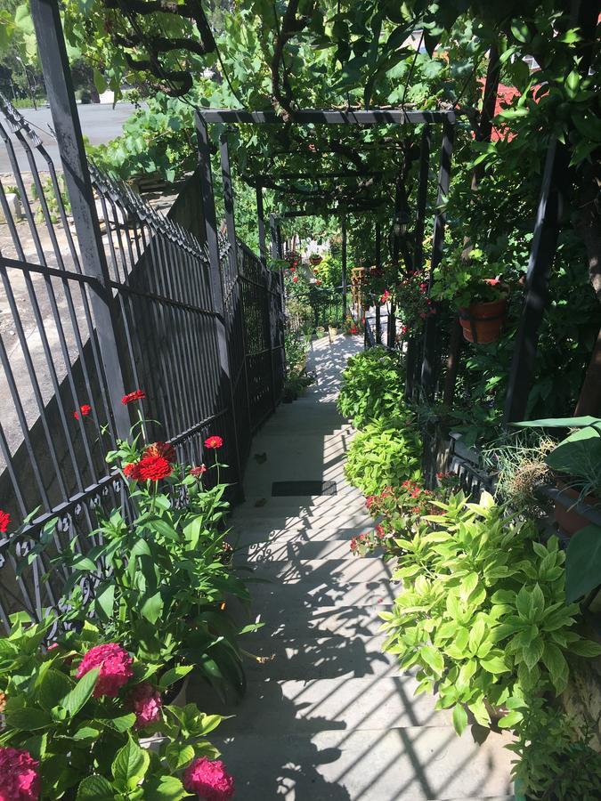 Sara Guesthouse ベラト エクステリア 写真
